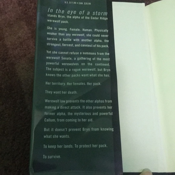 ‘taken by storm’ by jennifer lynn barnes - Picture 2 of 4